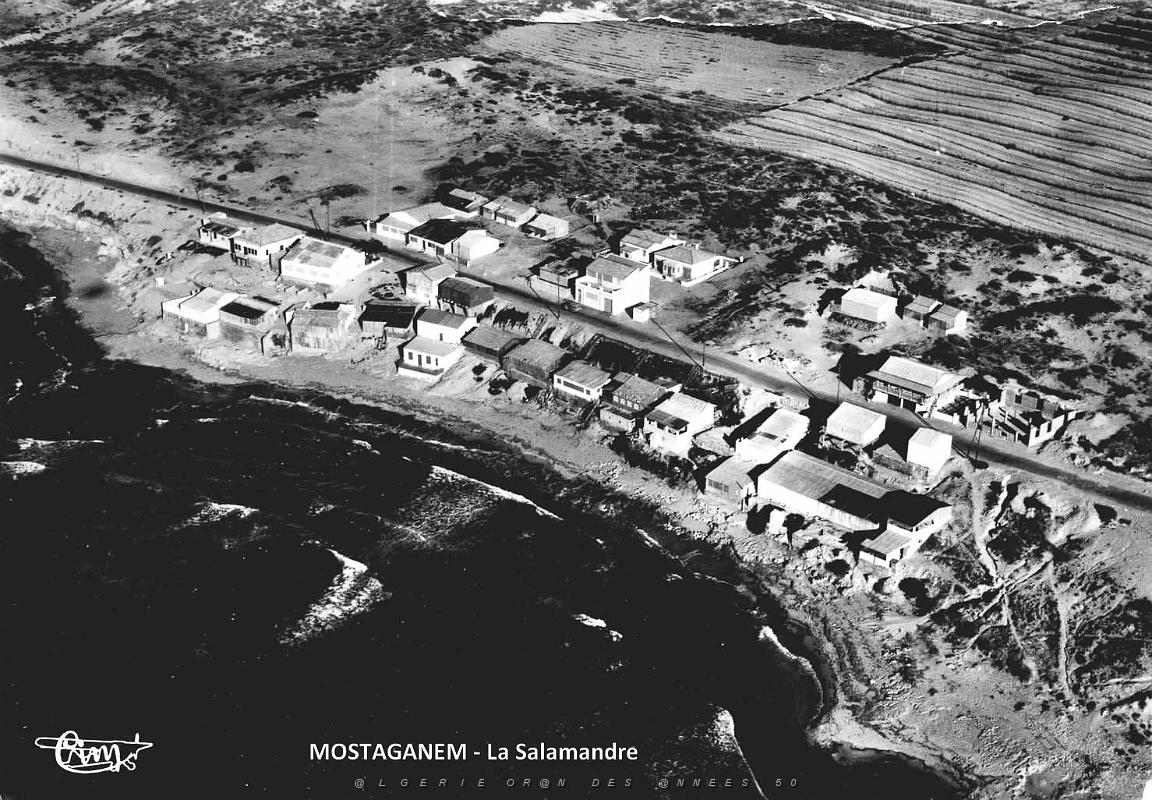 Mostaganem - La Salamandre.jpg